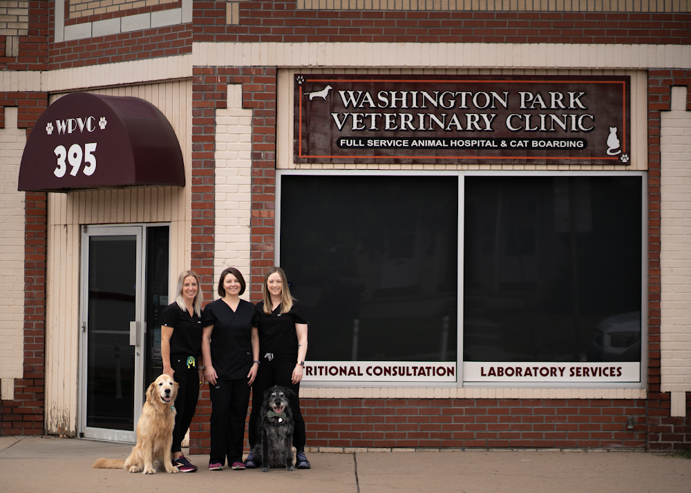 The Neighborhood Vets