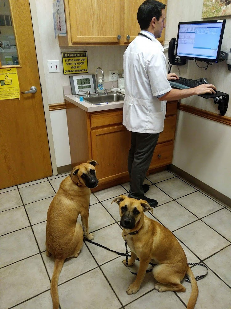 Care Animal Hospital