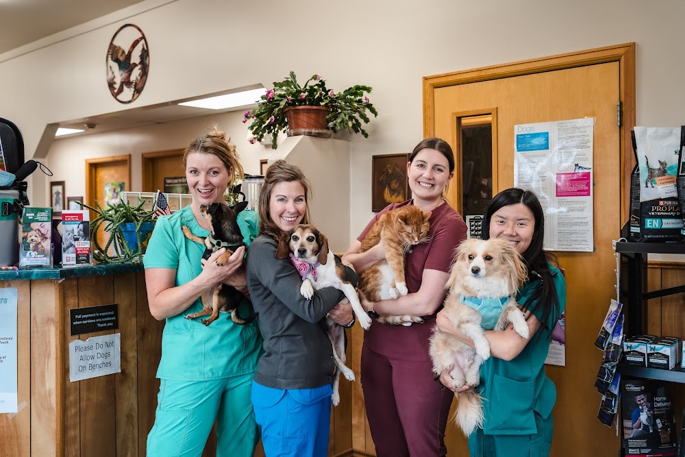Foothills Animal Hospital
