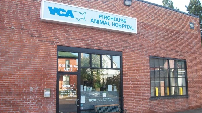 VCA Firehouse Animal Hospital