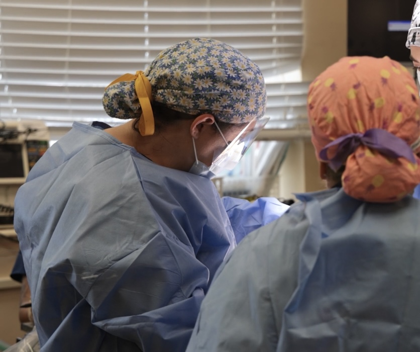 Avanza Veterinary Surgery