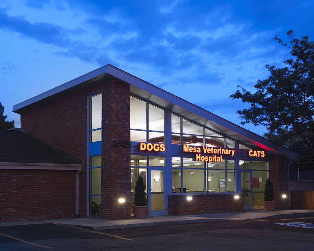 Mesa Veterinary Hospital