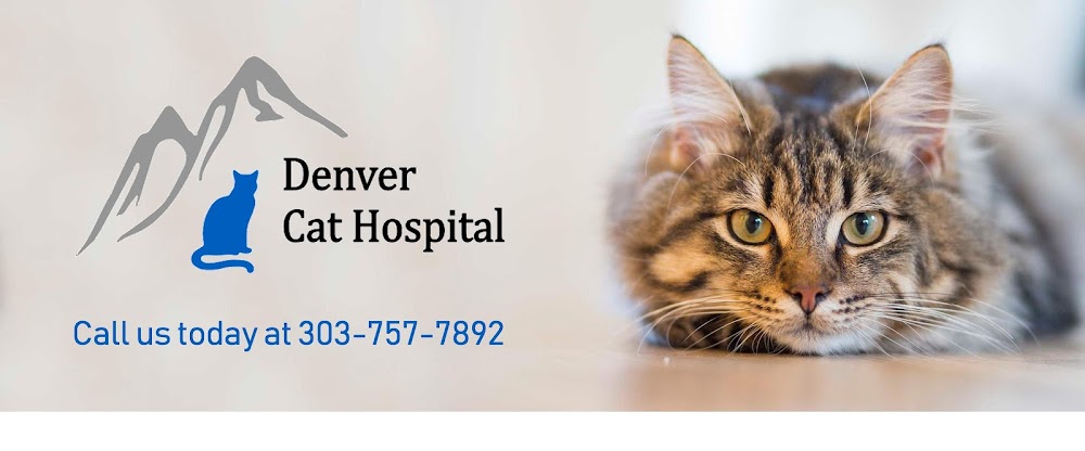 Denver Cat Hospital