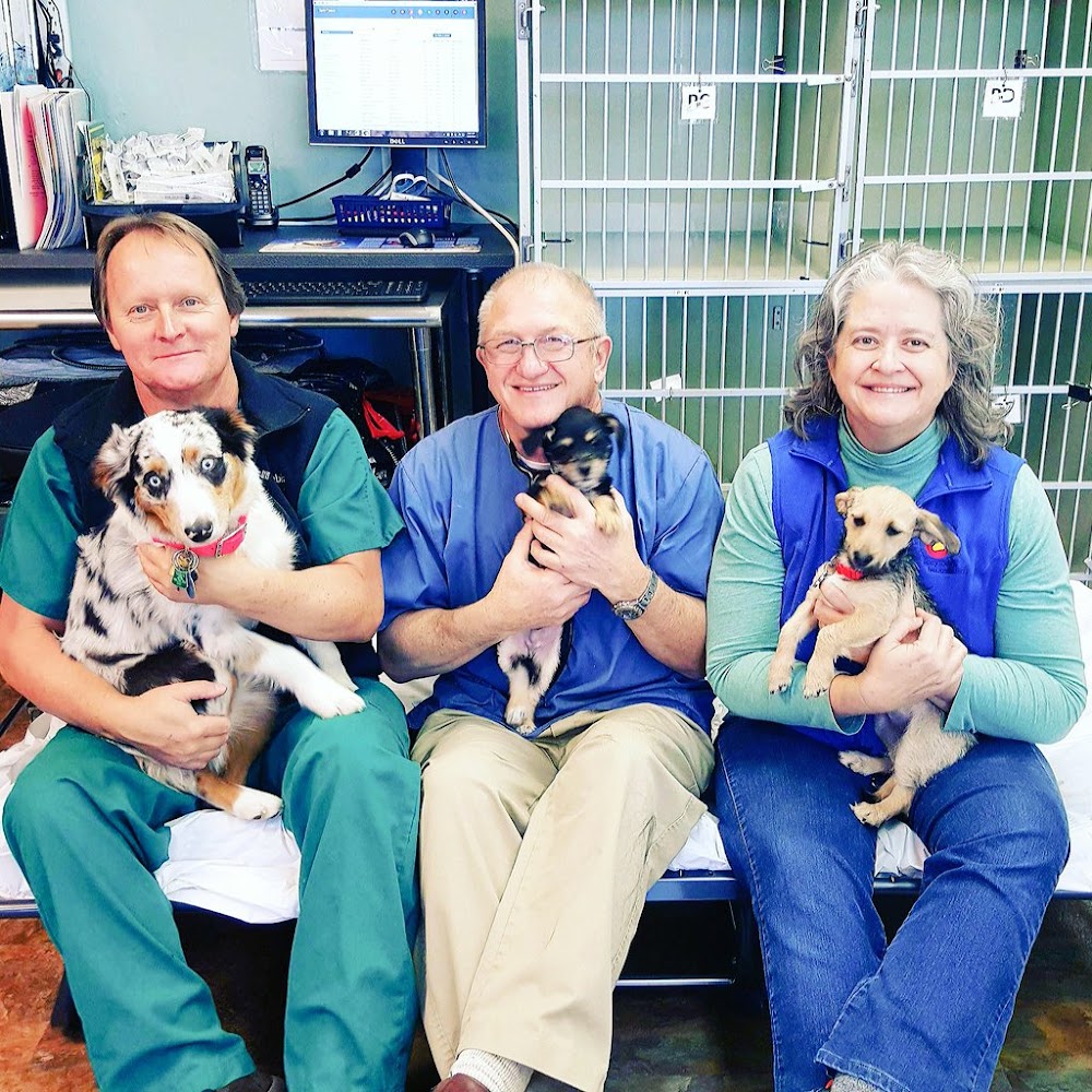 SpayToday Healthy Pet Center