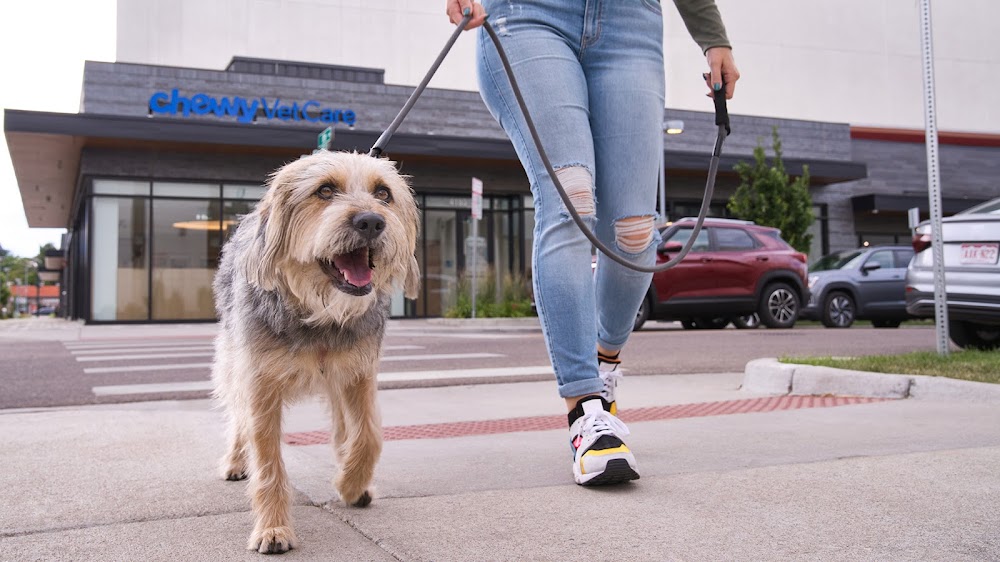 Chewy Vet Care 9+Co